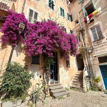 Vecchio Frantoio - Appartement